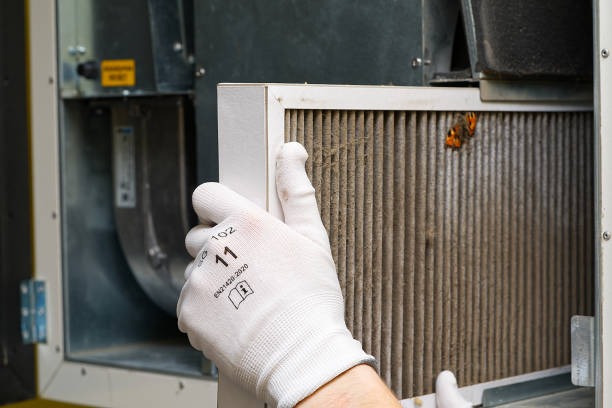 Best Air Duct Cleaning Company Near Me  in Sterling, AK
